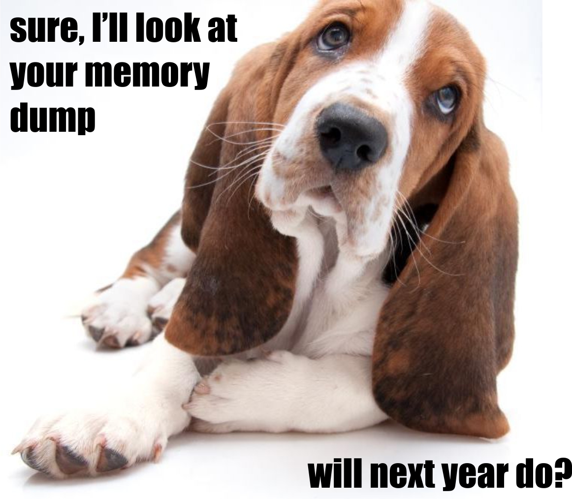 Basset dump.jpg