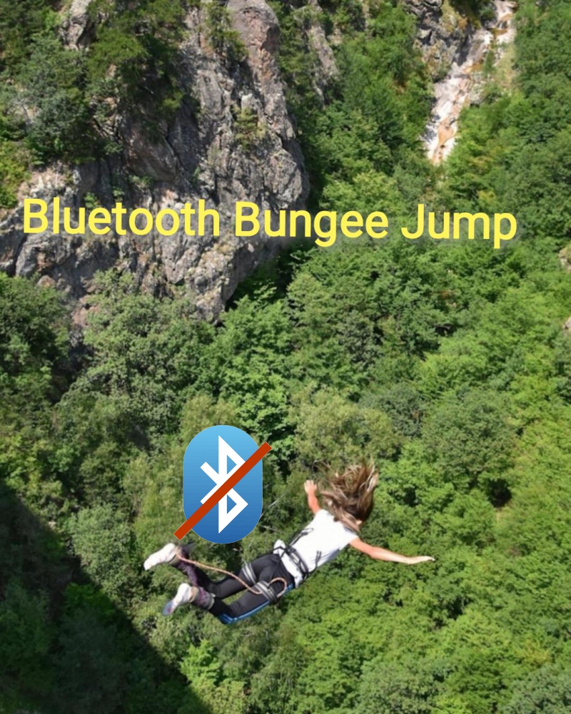 Bungee.jpg