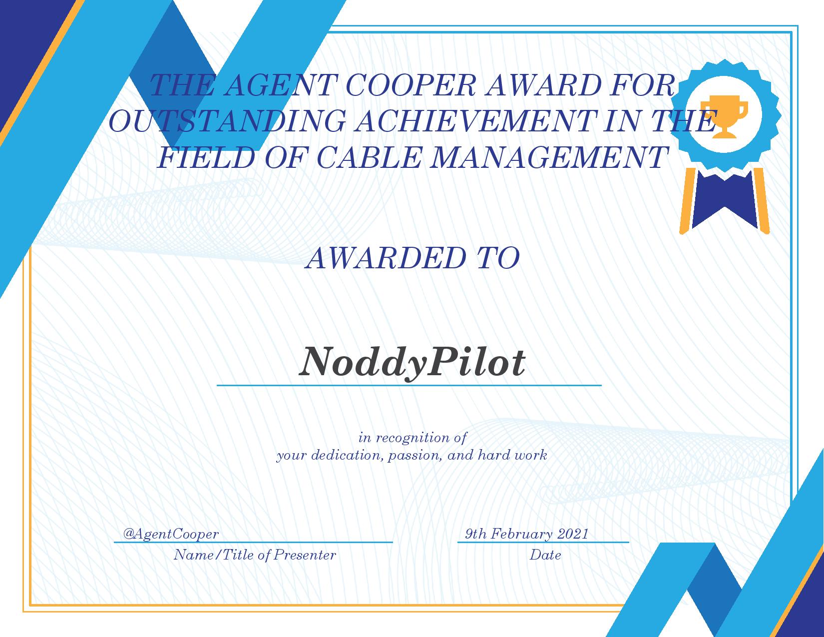 NoddyPilotCertificate.jpg